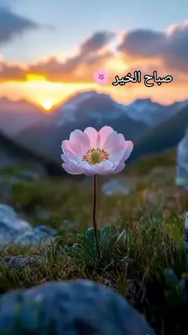 #اللهم #آمين_يارب_العالمــــــين #صباح_الخير #ادعيه_اذكار_تسبيح_دعاء_استغفار #لايك_متابعه_اكسبلور 