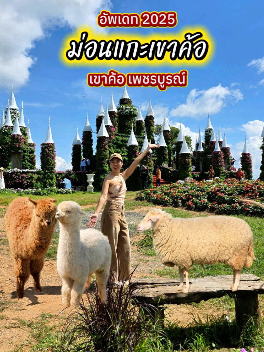 อัพเดทม่อนแกะเขาค้อ เพชรบูรณ์ ใครหาที่เที่ยว คาเฟ่เขาค้อ ปักพิกัดไว้ได้เลย น้องแกะ อัลปาก้า กระต่ายที่นี่น่ารักมากๆ มีปราสาทดอกไม้ มุมถ่ายรูปสวยๆด้วยนะคะ 📍ม่อนแกะเขาค้อ พิกัด : ขับจากที่ว่าการอำเภอเขาค้อ ประมาณ 6 กิโล อยู่ใกล้วัดกองเนียม #เขาค้อ #คาเฟ่เขาค้อ #ม่อนแกะเขาค้อ #ที่เที่ยวเขาค้อ #โอเด็ตรีวิว 