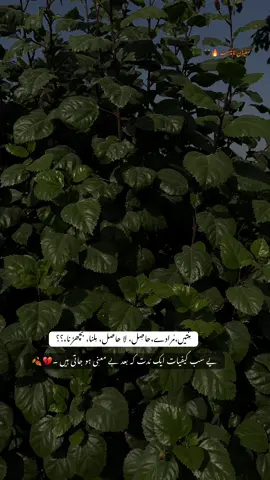 سرد موسم سے کچھ نہیں ہوتا سرد لہجے عذاب ہوتی ہیں❤️‍🩹 #urdupoetry #tranding #viewsproblem #100k #fupge 