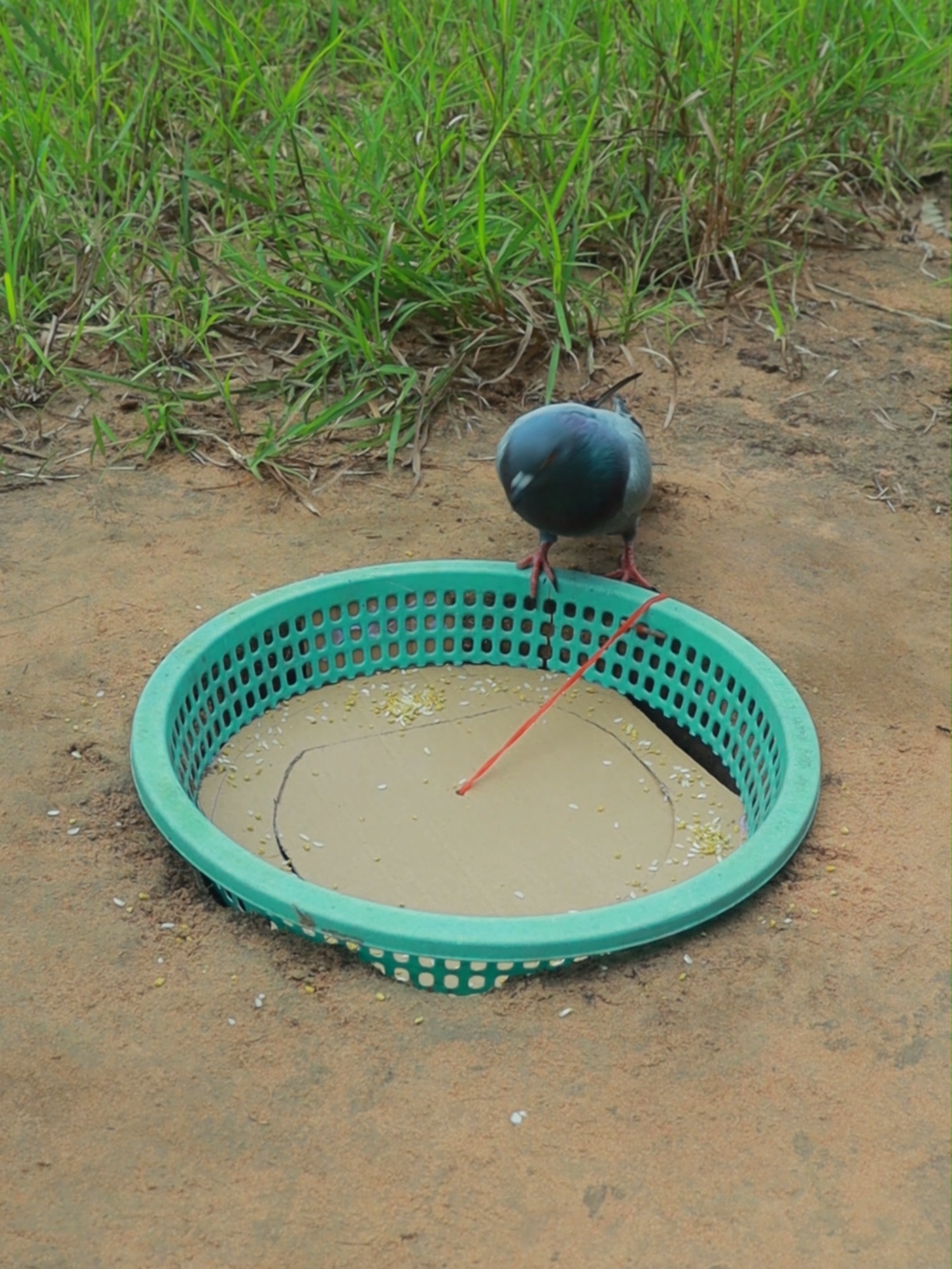 Survival skills: SMART idea and USEFUL in forest #outdoorskills #bushcraft #surviavlskills #camping hacks ideas