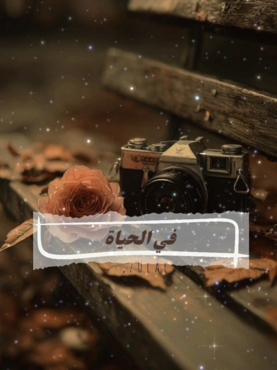 #🌸حِكَم_ورسائل🌸 في الحياة ستجد من يفسر لطفك أنه مصلحة  #الحياة #اختر_نفسك_دائماً #لا_تهتم_لكلام_الناس #fyp 