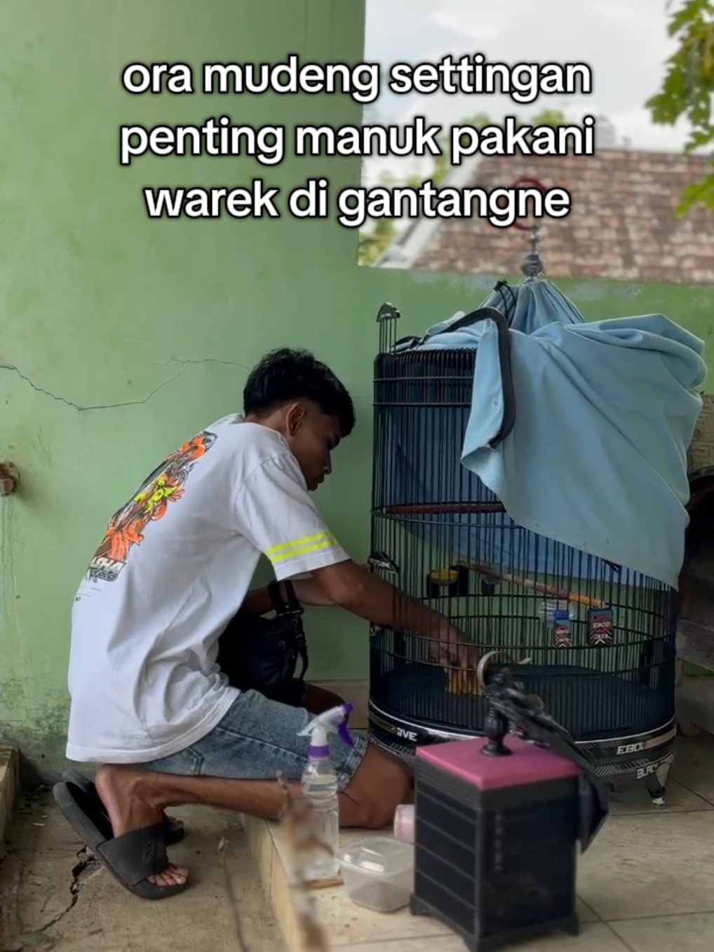 kabeh ke yo gur mbok menowo to bos 😂 @dwisaputra1117  #muraibatu #kicau #muraibatumania #muraibatuindonesia 
