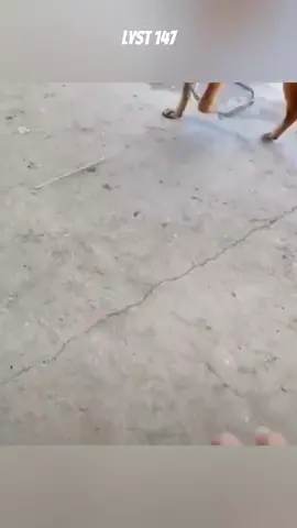 Nể mặt lắm đó.p