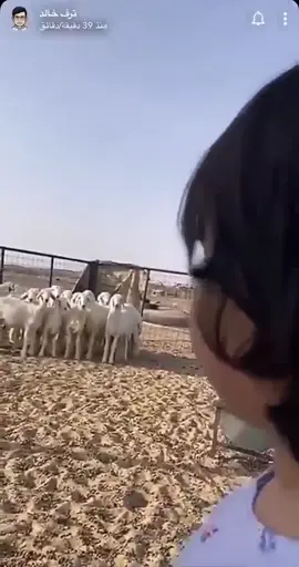 بالعافيه عليكم 