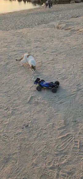 🔥 جاهز للدرفت والمغامرات؟ 🚗 سيارة Rlaarlo X12S أقوى سيارة لاسلكية أوف رود سرعة 🔥 من 60 إلى 90 كم/س مع بطارية 3S تجربة سرعة وأداء ما صارت من قبل 😎 اطلبها اليوم بـ 63 دينار كويتي فقط 🇰🇼 📦 توصيل لجميع مناطق الكويت 📞 97277981 🌐 www.rchobbyq8.com #سيارات_لاسلكية #اوف_رود #rc_hobby_q8 #درفت #سيارات_تحكم        