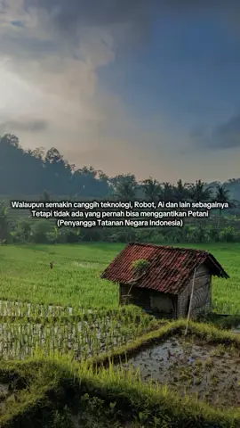 ♑♑♑♑ #petaniindonesia🇮🇩🇮🇩🇮🇩🌿🌿 #pertanian #lampung #indonesia🇮🇩 #minggu 