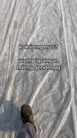 jare ibuk ireng rppo penting njero dompet abang