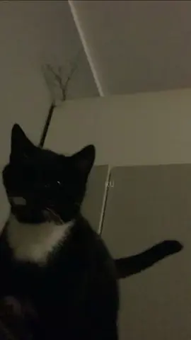 #lyrics #cintadalamhati #ungu 