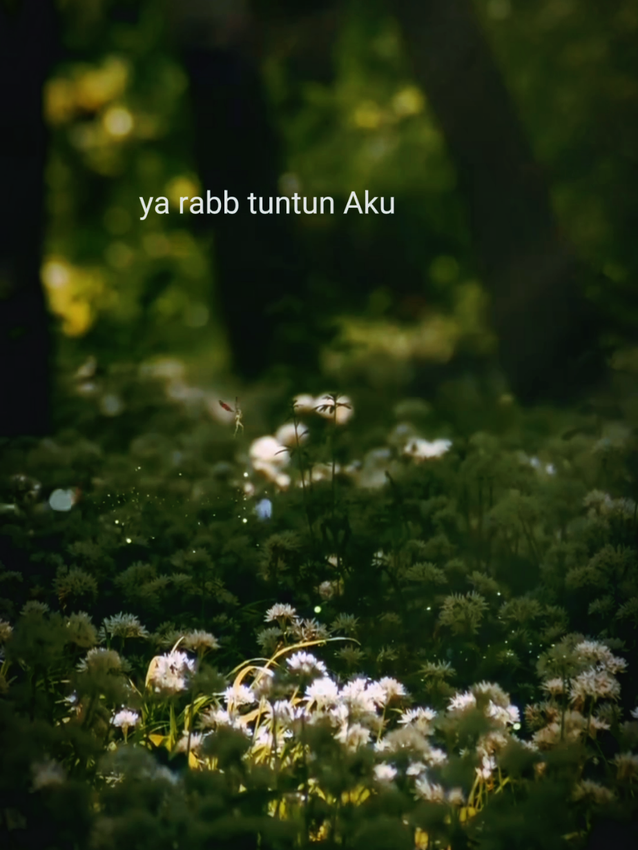 Doaku Hari ini #quotesislam #selfreminder #bismillahfyp #oktober #doa 