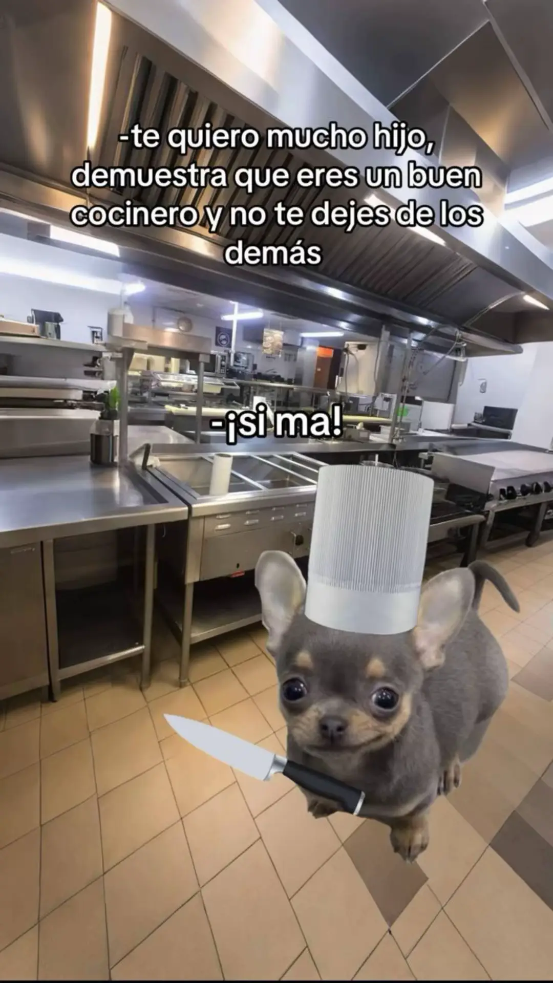 #fyp #chef #paratiiiiiiiiiiiiiiiiiiiiiiiiiiiiiii 