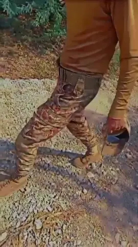 ✌️