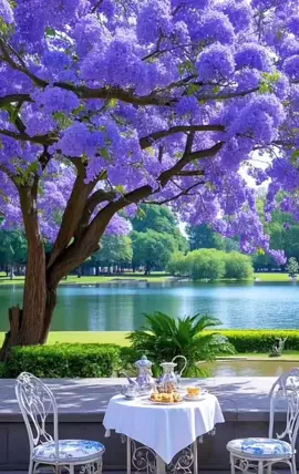 #canhdepthiennhien #chill #flowers #beautiful #bìnhyên 