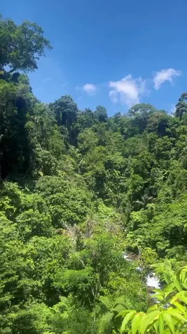 info boking guide  ++08385868443 #sumatrautara #sumut #airterjun #airterjunlauberte #langkat 