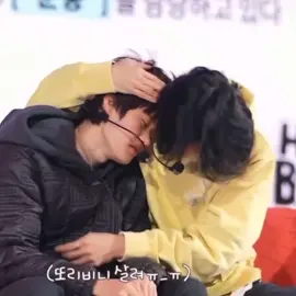 #riize #wonbin #sohee #또리비니 
