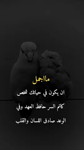 #عباراتكم_الفخمه📿📌 #تصميم_فيديوهات🎶🎤🎬 #عبارات_حزينه💔 #فراق_الحبايب💔 #😔💔🥀 @مؤمن موسي مؤمن موسي 