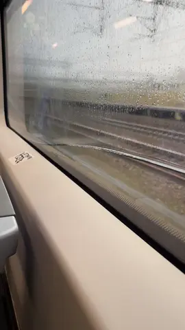 Спасибо РЖД и Серегею Собянину за такие асмр поезда #asmr #асмр #fyp #ржд #Москва