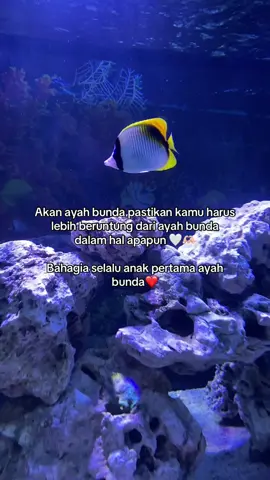 Masyaallah 👶❤️🫶🏻