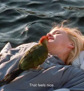 #tiktok #movie #fyp #fypシ #fouryou 