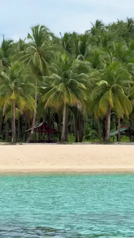 They call it a curse. I call it finding where I belong.🌴🛵🌊 #siargao #Summer #travel #gotmarkedtours #siargaoisland 