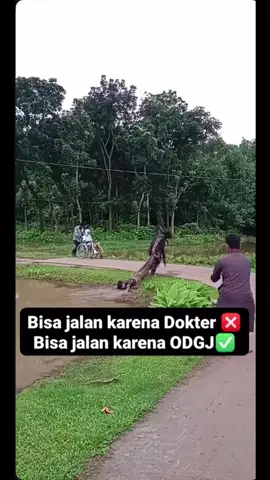 Odgj ternyata bisa bantu orang yang gabisa jalan jadi bisa lari