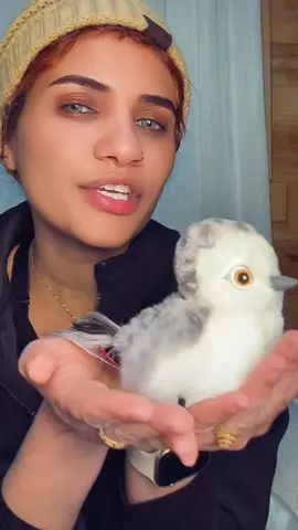 What a beautiful bird 💕💕😁