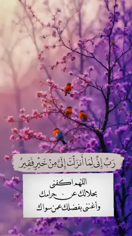#رب_إني_لما_أنزلت_إلي_من_خير_فقير #اللهم_آمين_يارب_العالمين #دعاء من القرآن الكريم #سورة_القصص #اللهم_صل_وسلم_على_نبينا_محمد 