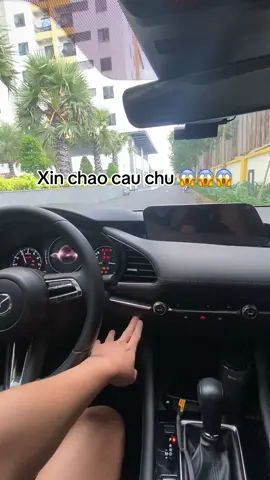 Xin chao #applecar #carplay #startup #trending #fyp 