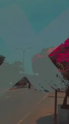 එ ඇති 🤍😫#foryou #romiyoquotes #sinhalaquotes #fyp #wadan 