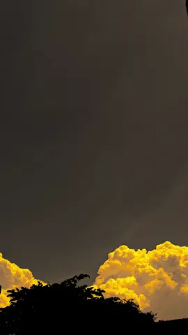 أحبك بالأغاني العربية حتى لا يعرفها أحد 