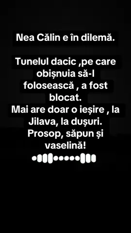 Pam-pam.Pamflet dacic. #pamflet #neacalin #suverani #romania🇹🇩 #fyp 
