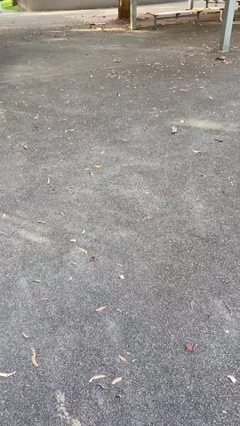 Tonight’s the night. Epping is not safe😤#dextermorgan #fyp #bayharbourpisser #epping #eppingboyshighschool 