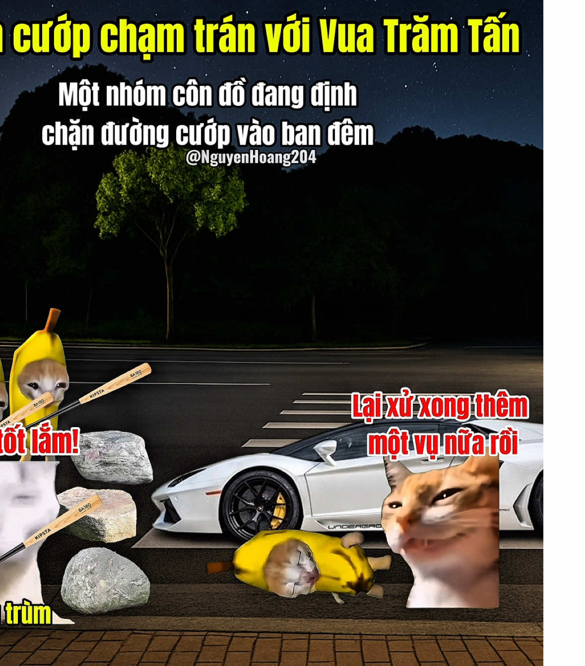 Khi bọn cưop gặp Vua Trăm Tấn #meme #catmeme 