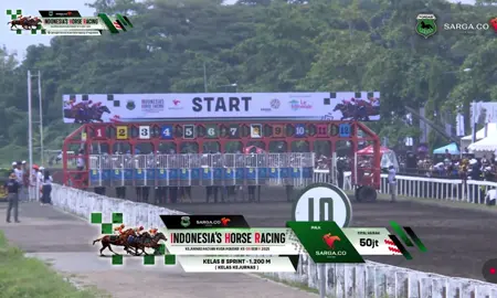 pacuan kuda yogyakarta THE WIN 🥇 BINTANG MAJA #pacuankuda #balap #balapkuda #yogyakarta 