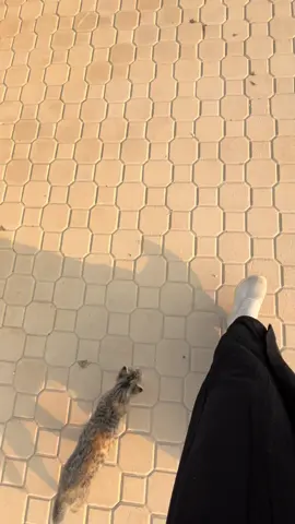 🚶🏻‍♀️