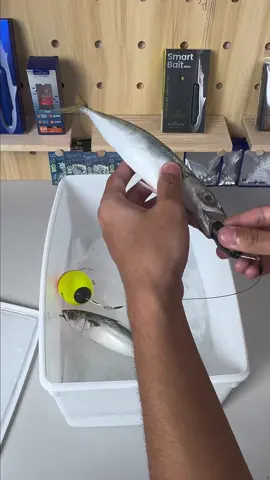 Kanama Smart Bait - Still Struggling to Catch with Dead Bait? Revive It with Smart Tech. . 🛒www.kanama.com . #kanama #smartbait #fishing #釣り #roboticlure 