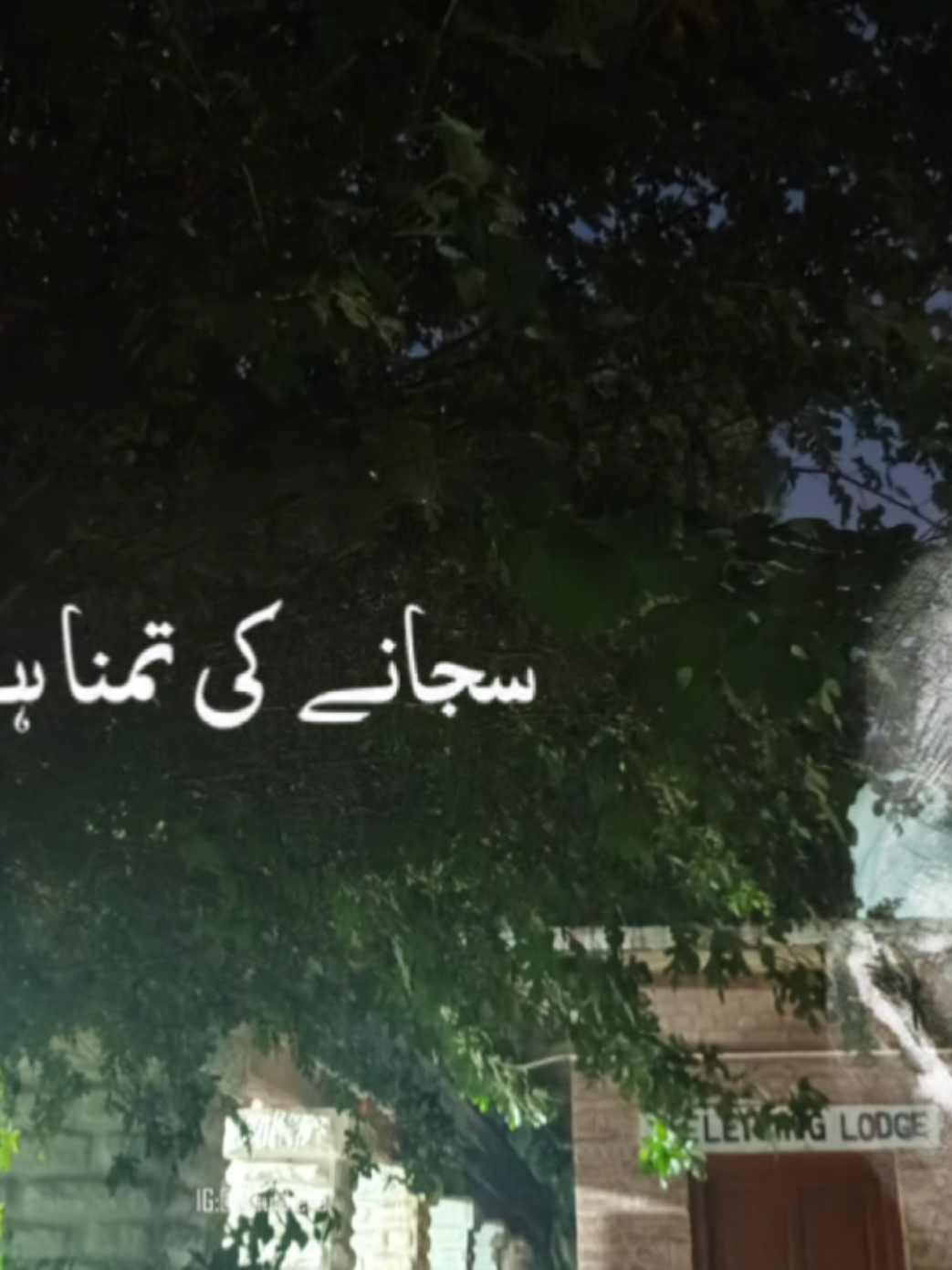 jaun elia💔❤‍🩹❤‍🔥😮‍💨#sadshery💔❤️‍ #jounelia_poetry🔥🔥❤️‍ #statussong #ilamaiqbalpoetrylovers❤️❤️ 