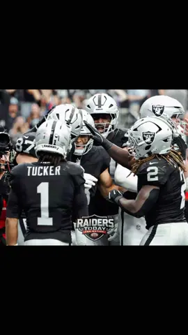 Las Vegas Raider on the field at Allegiant Stadiun in Las Vegas #nfltiktok #lasvegasraiders #raidernation #raiders #NFL 