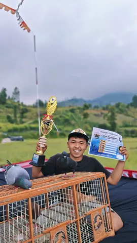 minggu ceria,🔥#merpati #fyppppppppppppppppppppppp #fyp #merpatilosdor #merpativiral 