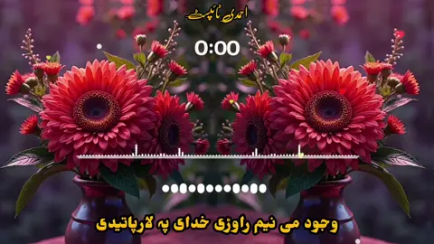 وجود می نیم راوڑی خدای پہ لارپاتیدی 😭💔🙏👈#pashto #nazam #fyp #foryoupage #1millionaudition 