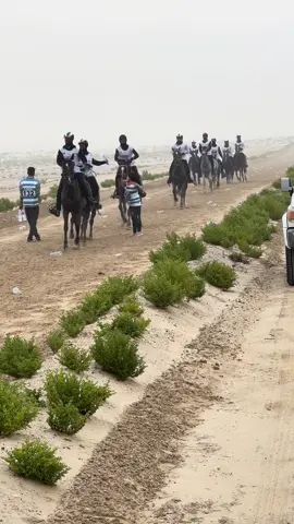 One more week #newseason#newbeinging#🐎❤️ @Aisha Jiang @Connie @Muddassar sharif 