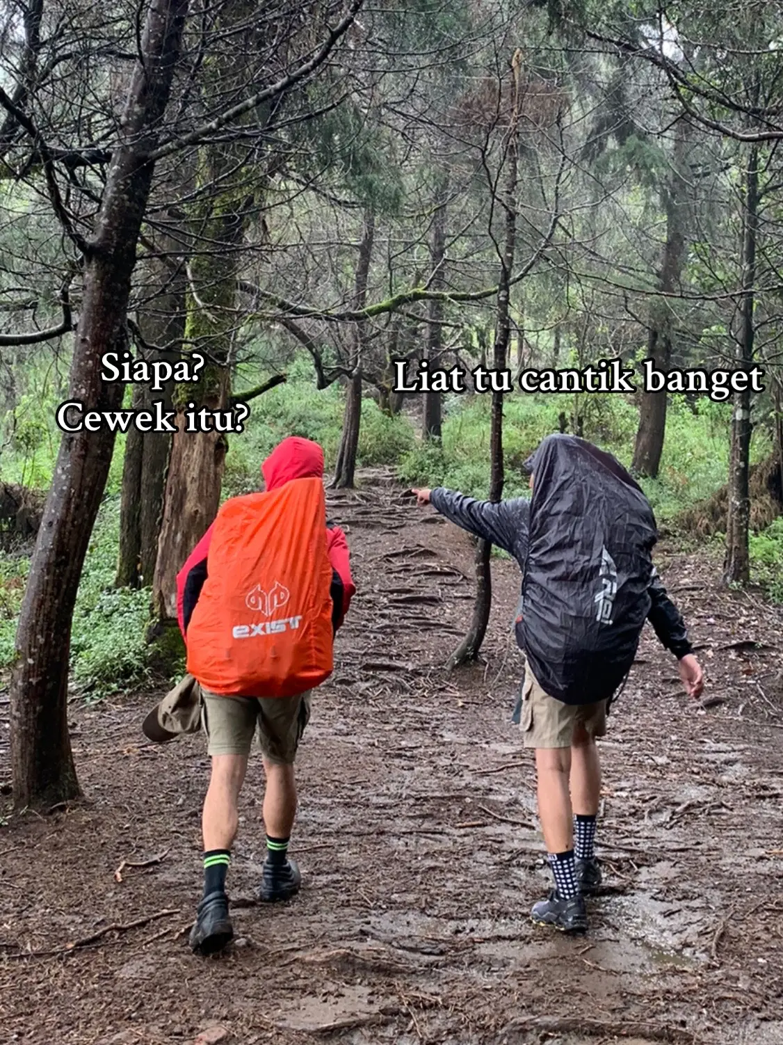 #pemandangan #gunung #pendakigunung #hikking #fyp 