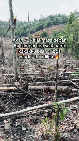 🔥#masukberandafyp #bosmuda #fyppppppppppppppppppppppp #petanisawitindonesia🇮🇩 