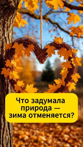 Ждать ли мороза в октябре в Беларуси? #осень #дождь #туман #тепло #солнце #зима #погода #октябрь #ветер #небо 