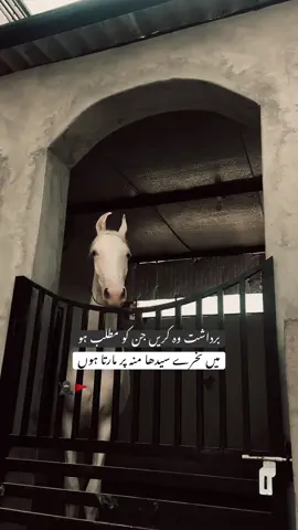 HAN G💀.      #foryoupage #viralditiktok #poetrystatus #lines🔥 #unfreezemyaccount 