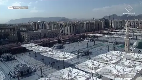 حديث الرسول صلى الله عليه وسلم ( الدين النصيحة ) 🌿🤍 #السنة_النبوية #المسجد_النبوي #اللهم_صل_وسلم_على_نبينا_محمد 