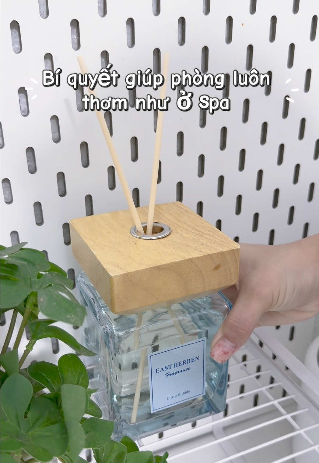 Tui dị ứng với các thể loại nước hoa nồng mà thật sự mê mùi hương thơm dịu này #eastherben #tinhdauthomphong #tinhdaukhuechtan #mebimsua 