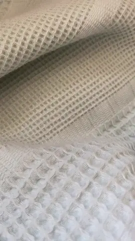 Linaaa🥰#pomeranian #keşfetteyizzz #öneçıkar 