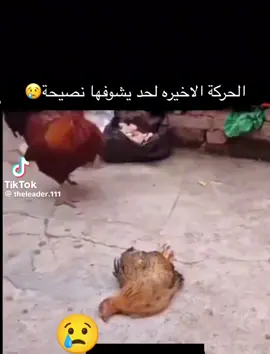 #متابعه_ولايك_واكسبلور_فضلا_ليس_امرا 