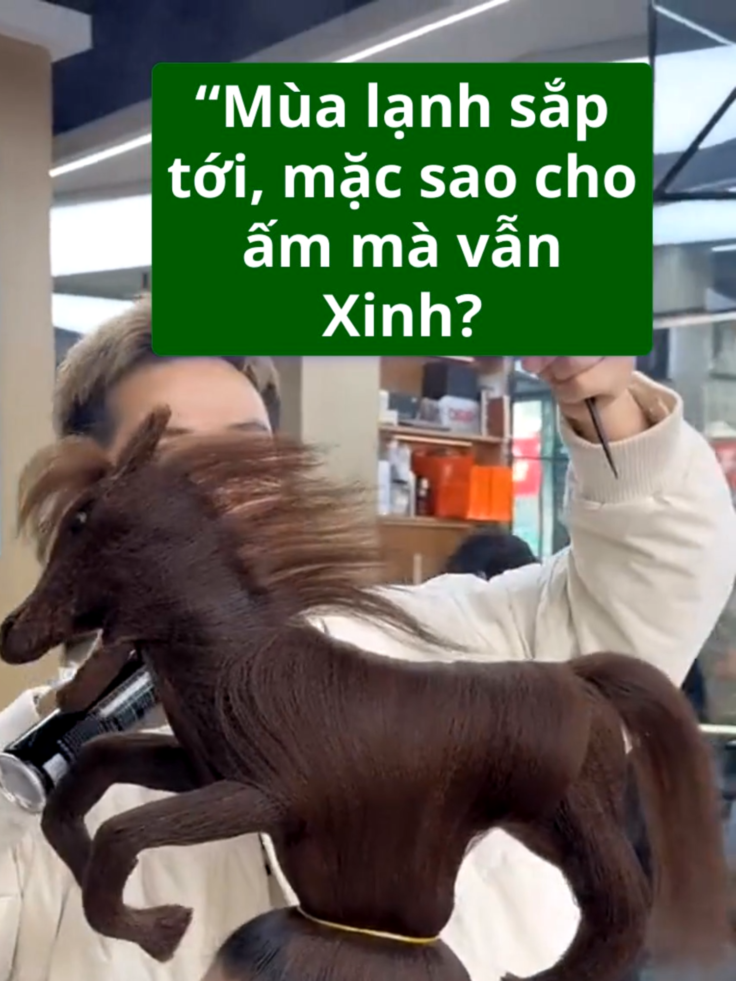 Không cần cầu kỳ – chỉ cần chiếc áo phao cổ to mix cùng quần jean là bạn đã có outfit “vừa ấm vừa thời thượng” rồi. Phần cổ lót lông giúp giữ ấm cực tốt, form dáng ngắn tạo hiệu ứng chân dài và gọn eo ✨ Màu kem nhẹ nhàng dễ phối đồ, diện đi cà phê, dạo phố hay du lịch đều đẹp xuất sắc. #mixdocucdinh #aokhoacnu #aophao #aomuaDong #phongcachnu