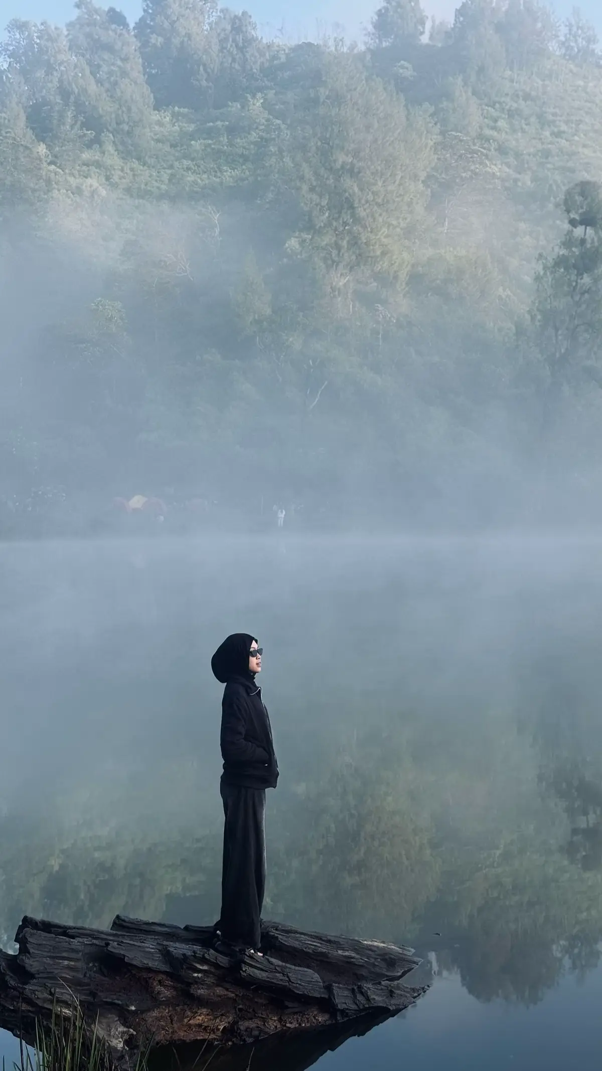 Regulo dengan keindahannya🫶🏻🍃✨💐 #ranuregulo 